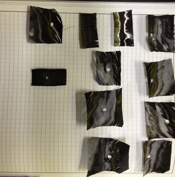First-ply failure inspection.